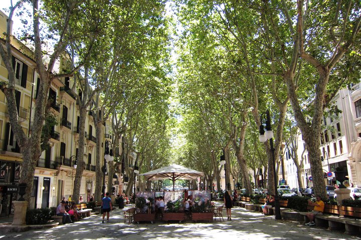 Tander Inversiones acquires retail space in Mallorca