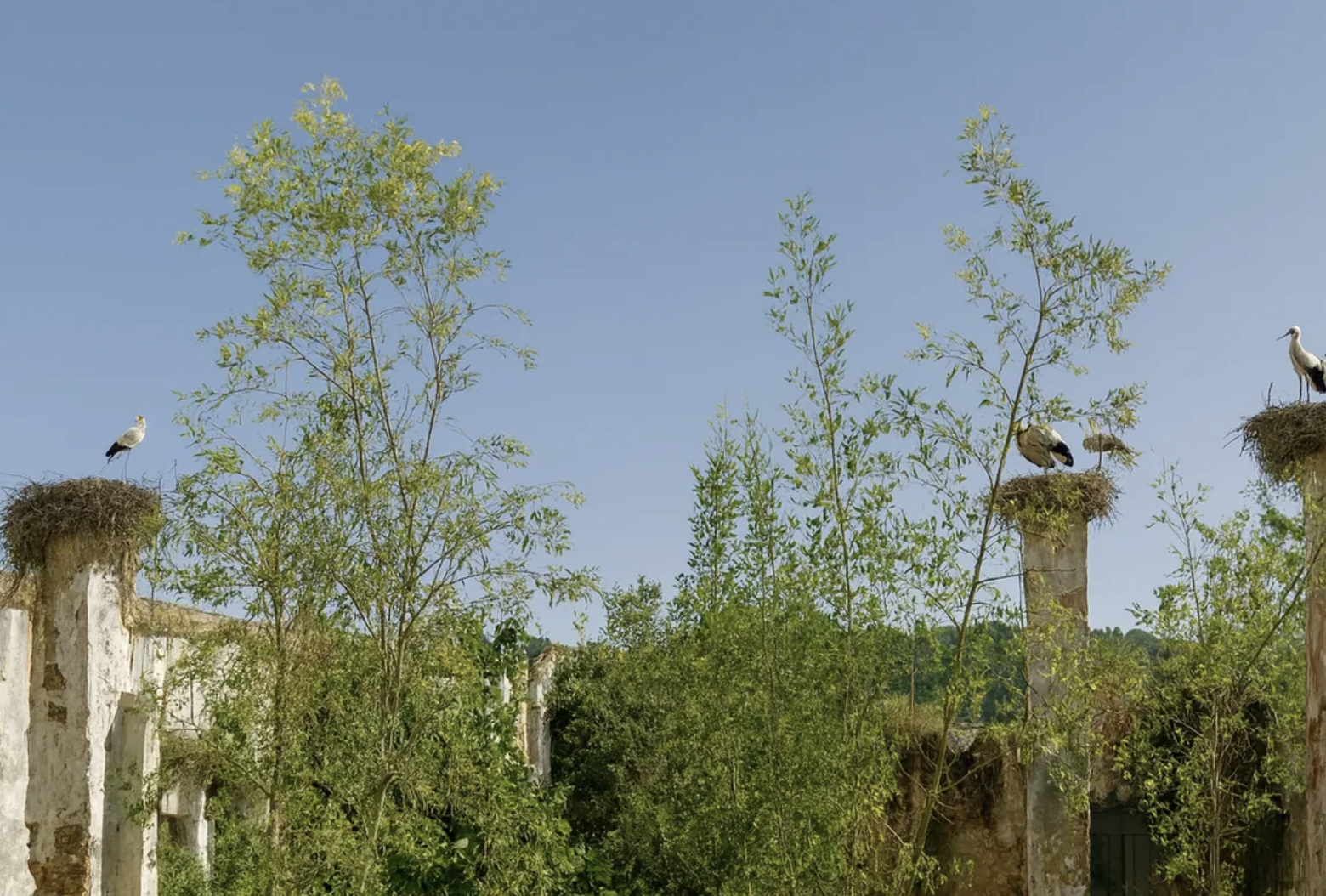 ANTRIX AND CARVOEIRO BRANCO ACQUIRE FORMER CORK FACTORY IN SILVES