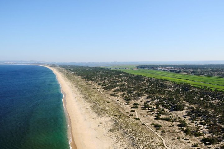 OFFERS FOR COMPORTA REACH €159M 