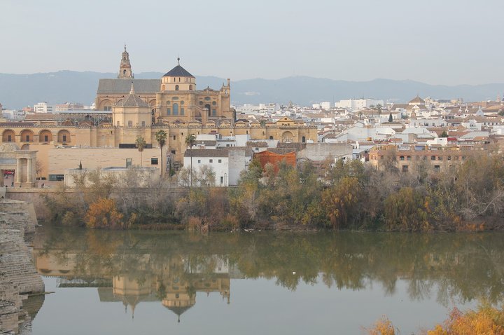 Metrovacesa invests €40M in Andalusia’s housing market