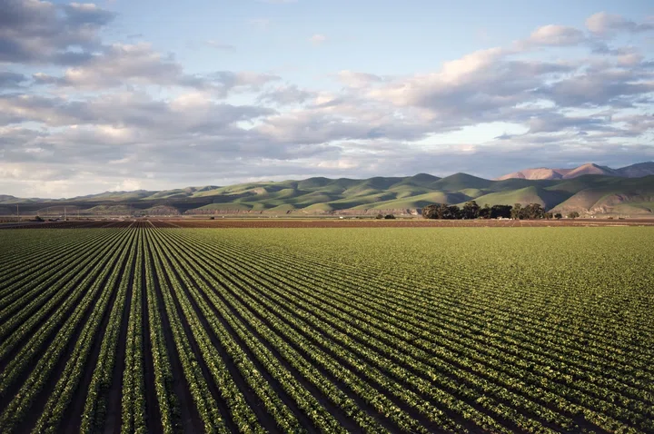 Institutional investment in Agribusiness in Spain will exceed €2,000M