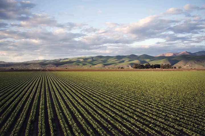 Institutional investment in Agribusiness in Spain will exceed €2,000M
