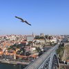 PORTO IS A DESTINATION OF INVESTIMENT “COMPETITIVE IN EUROPE”