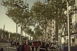 Quonia invests 7 million in  La Barceloneta