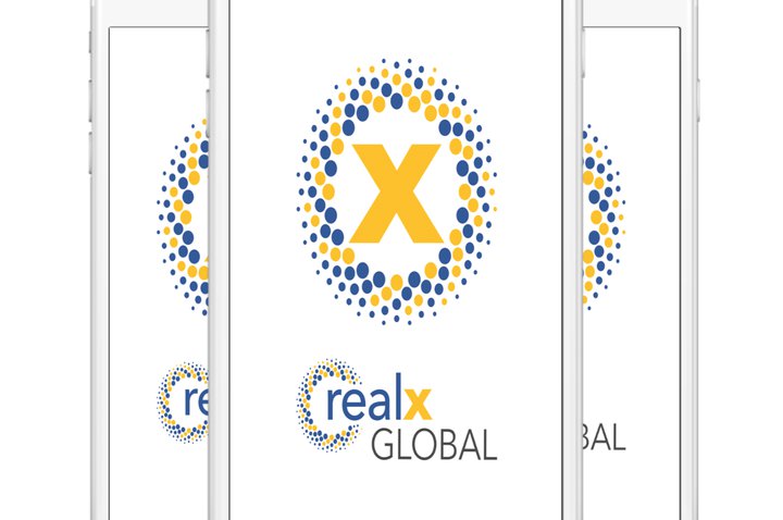 REALX: Connecting a virtual community