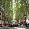 Tander Inversiones acquires retail space in Mallorca